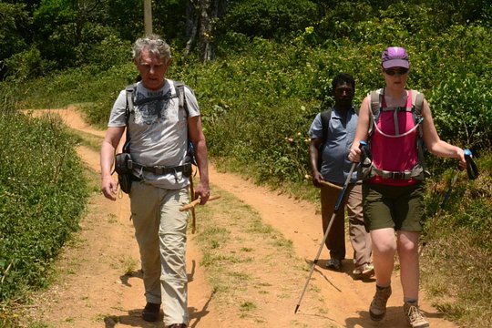 Tour image 11