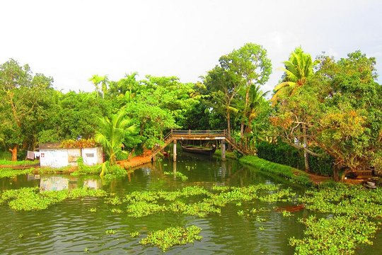 Tour image 5