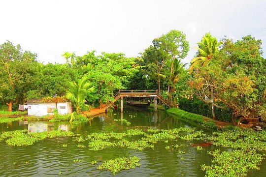 Tour image 4