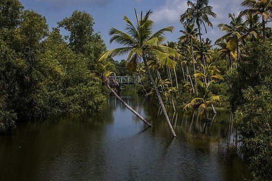 Tour image 8
