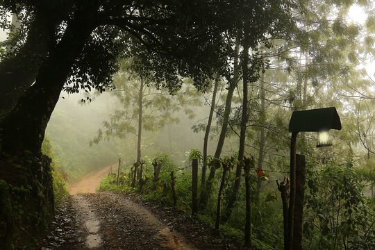 Tour image 6