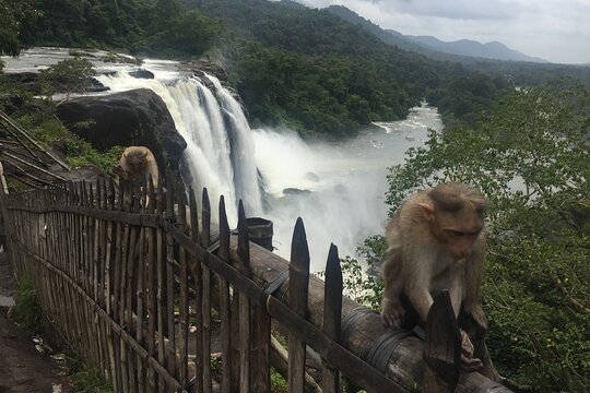 Tour image 6