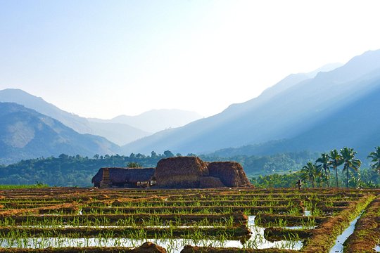Tour image 1