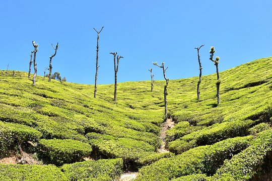 Tour image 4