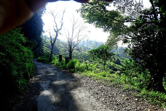 Tour image 7